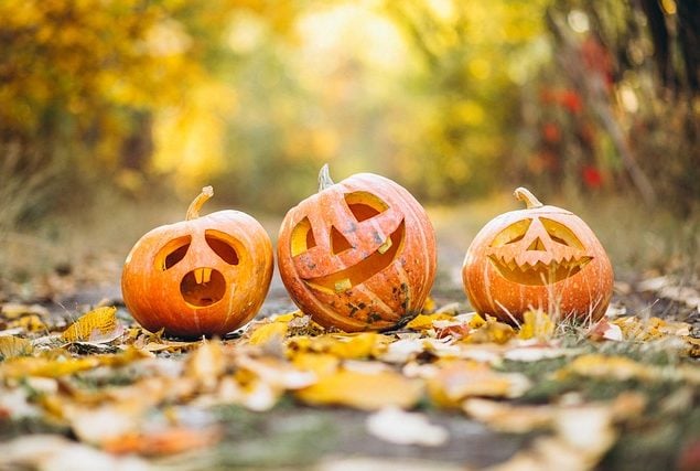 The biggest Halloween and Autumn challenges taking over your feed in October