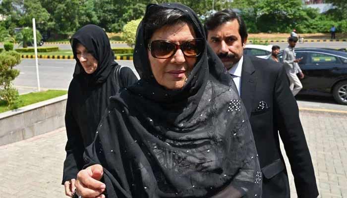 ATC issues non-bailable warrant for Aleema Khan in PTI's November 26 protest case.