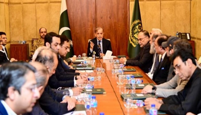 PM Shehbaz to discuss 27th constitutional amendment via video link from Baku
