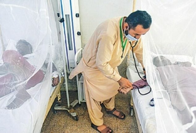 Dengue situation worsens in Sindh with 27 deaths