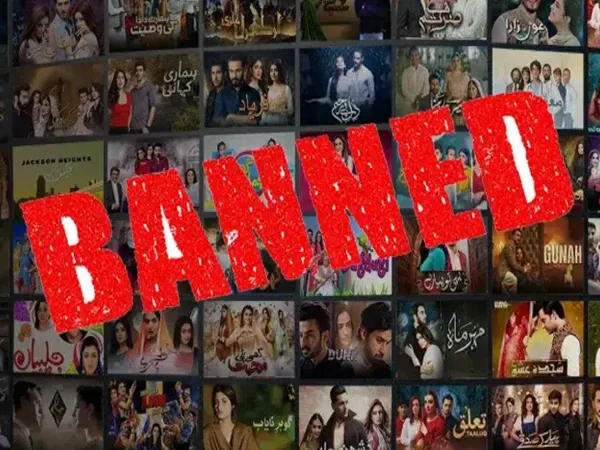 India blocks Pakistani dramas on Netflix amid rising global popularity