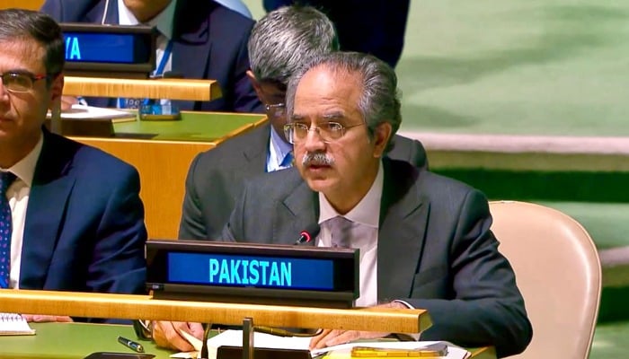 Pakistan raises alarm over terrorist access to illegal weapons in Afghanistan at UN