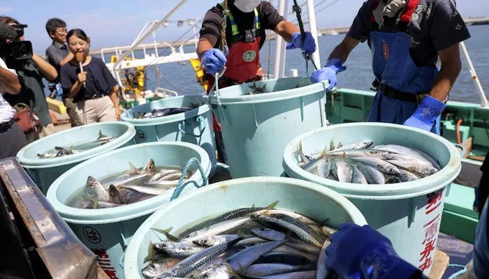 China reimposes ban on Japanese seafood imports amid diplomatic tensions over Taiwan remarks