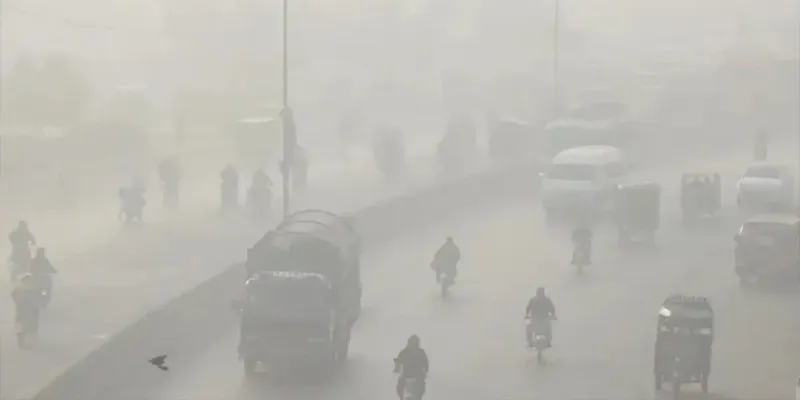 Cold, foggy mornings with mild days expected across the country