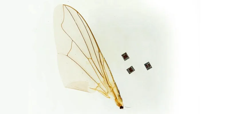 Researchers unveil Microrobot that can sense, think, and act on its own