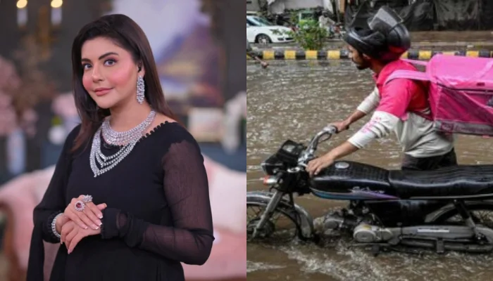 Nida Yasir faces criticism for remarks on food delivery workers