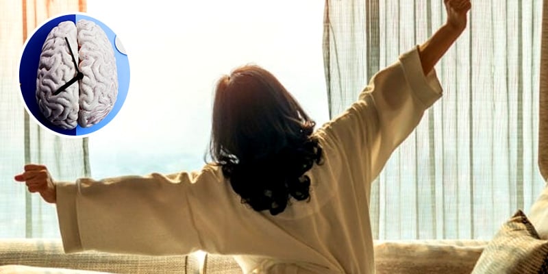 Do You Wake Up Minutes Before Your Alarm? Here’s Why