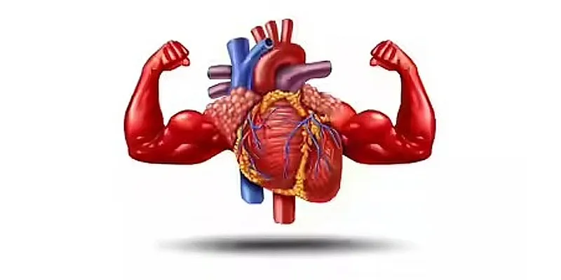 Your Heart, Your Choice: How diet, exercise, and habits can shield against stroke