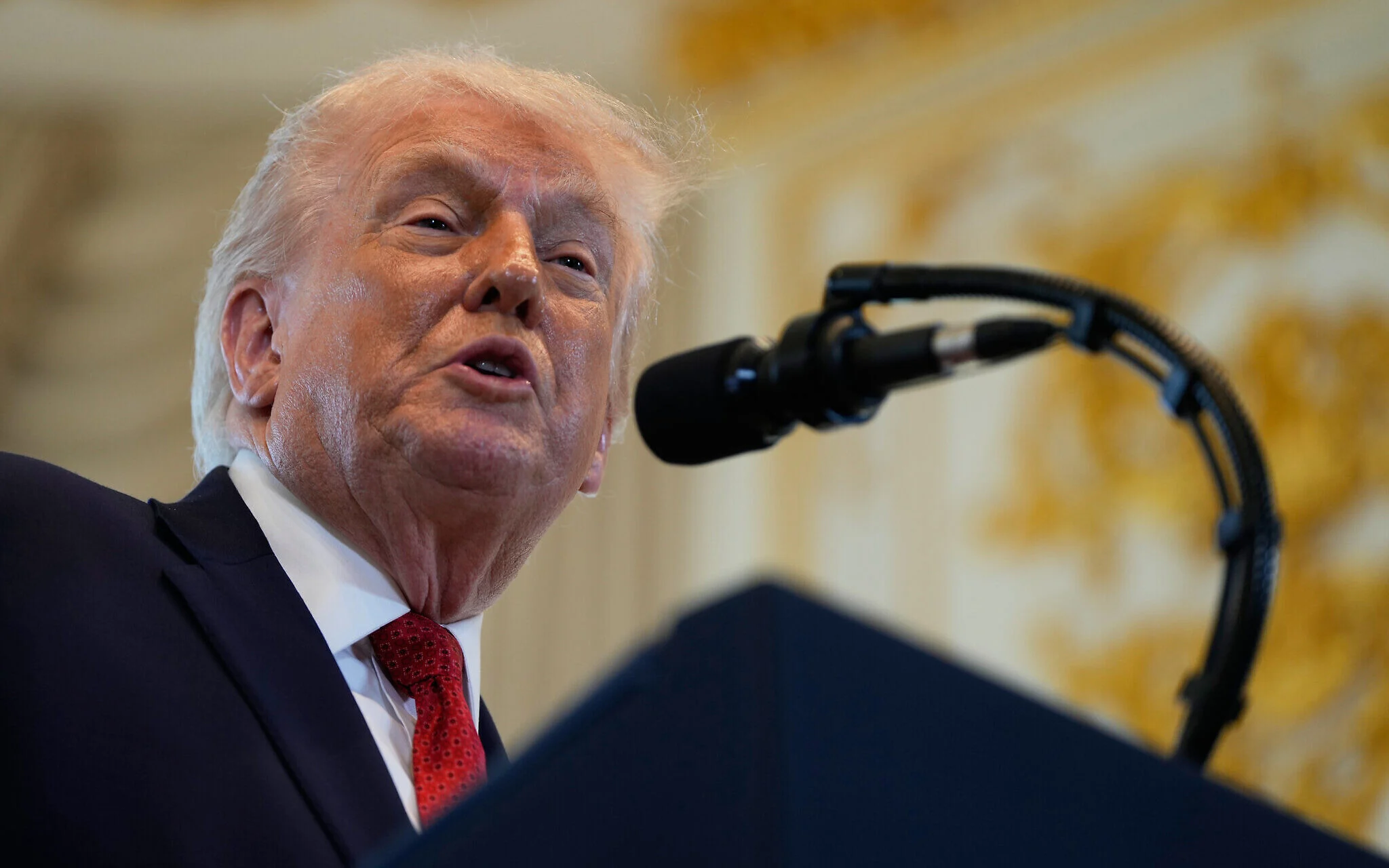 U.S. establishes Gaza executive board, says White House