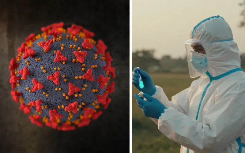 Nipah Virus: Returns to regional spotlight after fresh cases in India