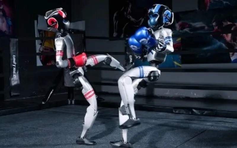Ultimate fighting bots: AI-powered humanoids mirror human fighters