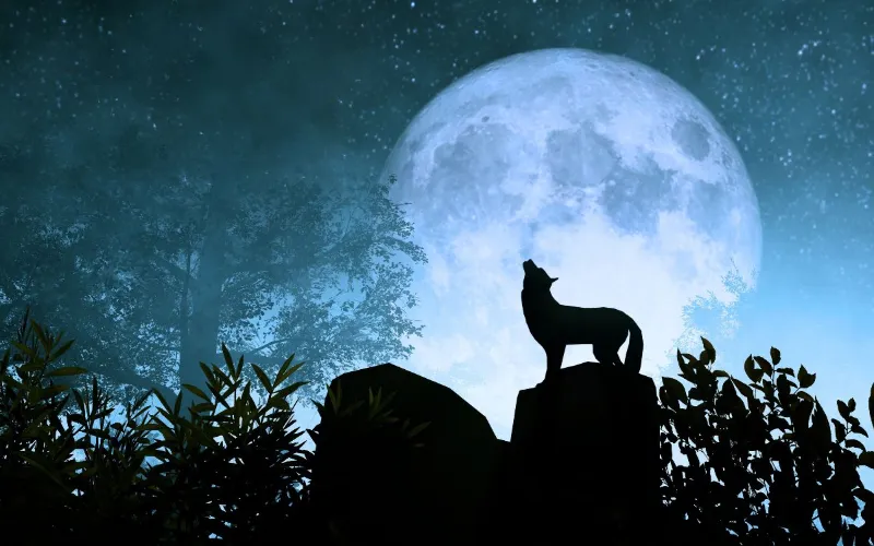 2026 Wolf Moon to light up January skies
