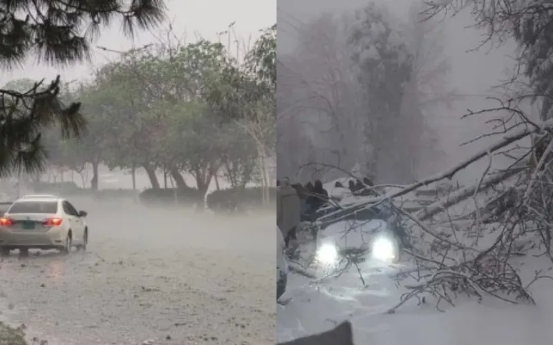 PMD issues fresh weather advisory amid prolonged cold conditions