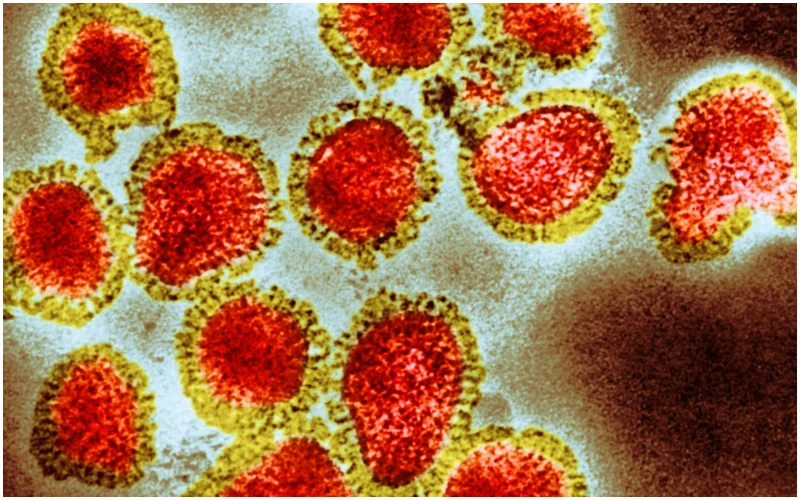 Experts warn smallpox