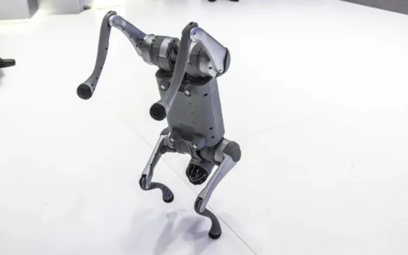 Indian university faces