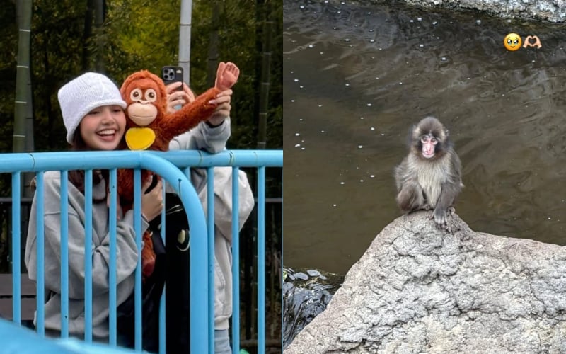 Lisa and Punch-Kun’s adorable rendezvous melts hearts worldwide