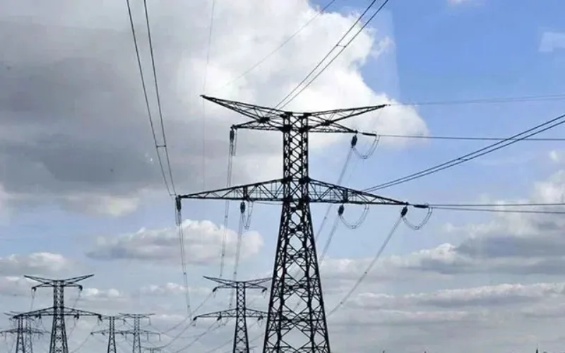 Government accelerates HESCO, SEPCO privatization following IMF pressure