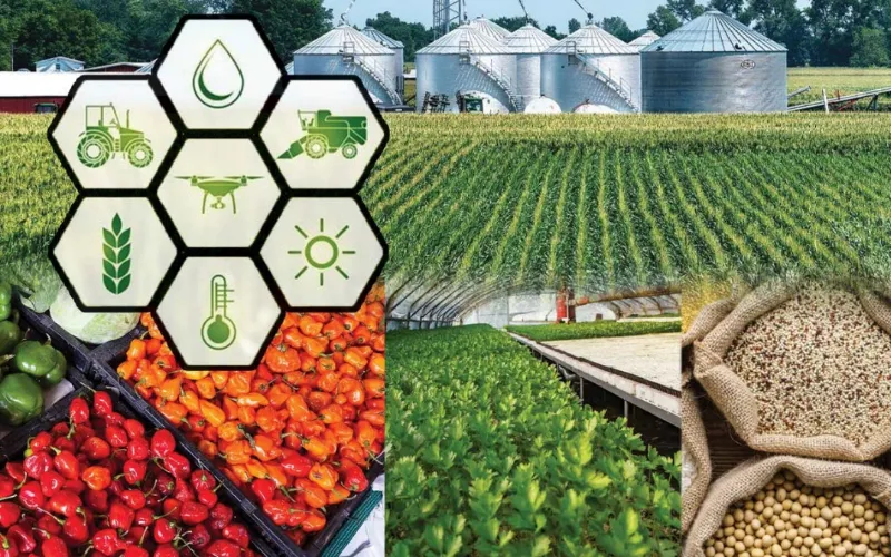 MNFSR institutions highlight major 2024–25 developments