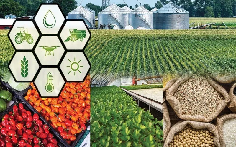 MNFSR institutions highlight major 2024–25 developments