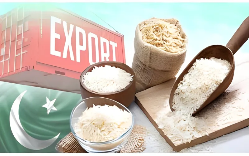 Rice exporters urge government to extend DLTL scheme to boost exports and ease pressure