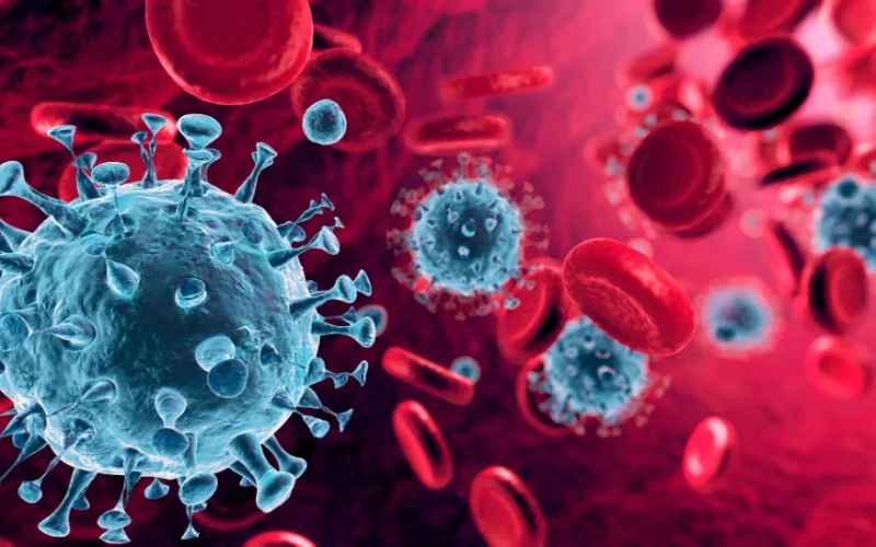 Oropouche virus