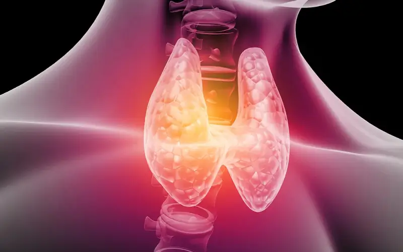 An introduction to Thyroiditis: All its types you need to know