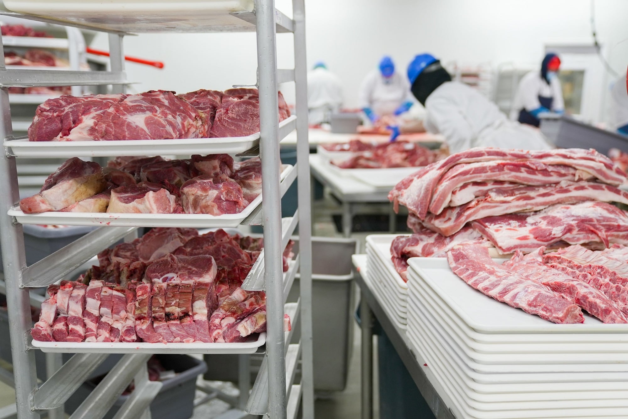 meat export