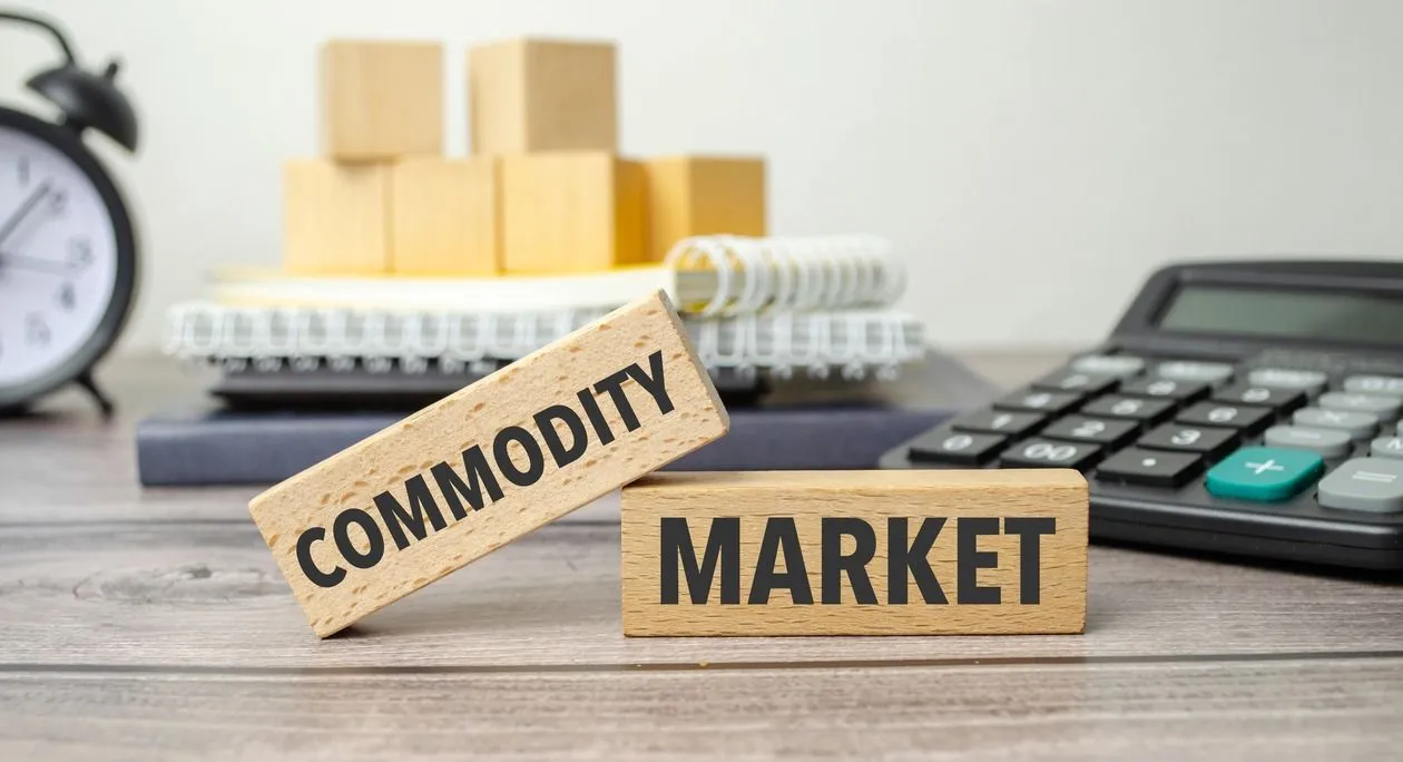 Have commodity markets lost their link with physical reality?