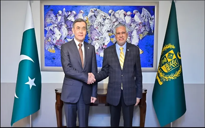Pakistan chairs SCO border meeting ahead of 2026 council chairmanship Pakistan chairs SCO border meeting ahead of 2026 council chairmanship