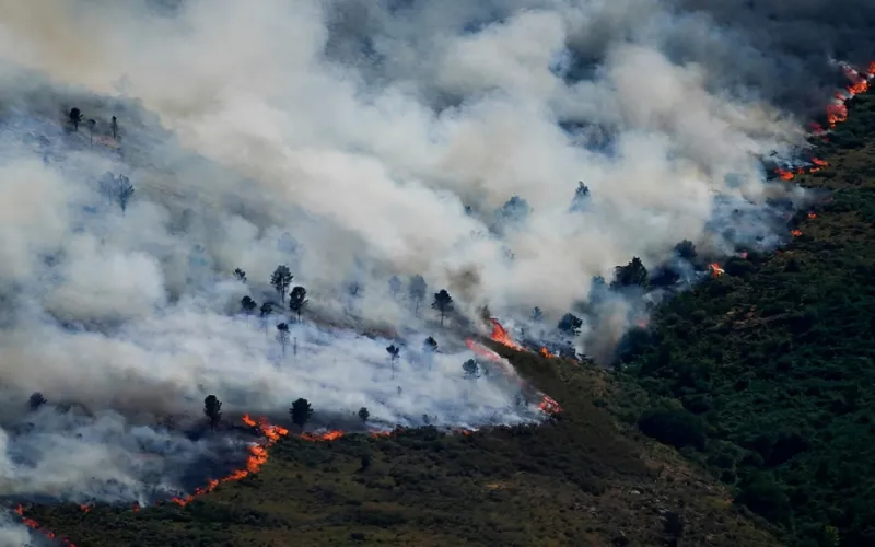 Wildfires force 220,000 to evacuate across France and Spain