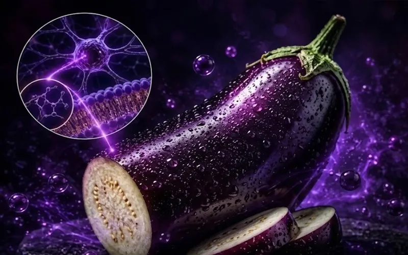 Antioxidant hiding in eggplant skin may boost brain health