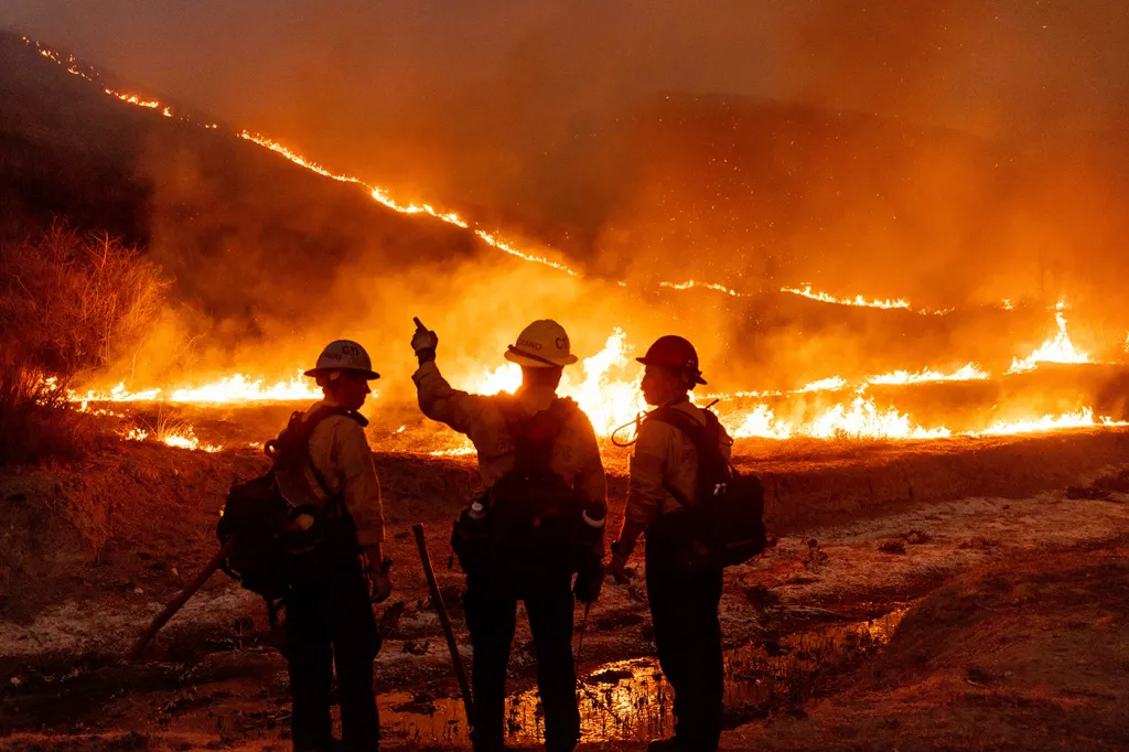 wildfire