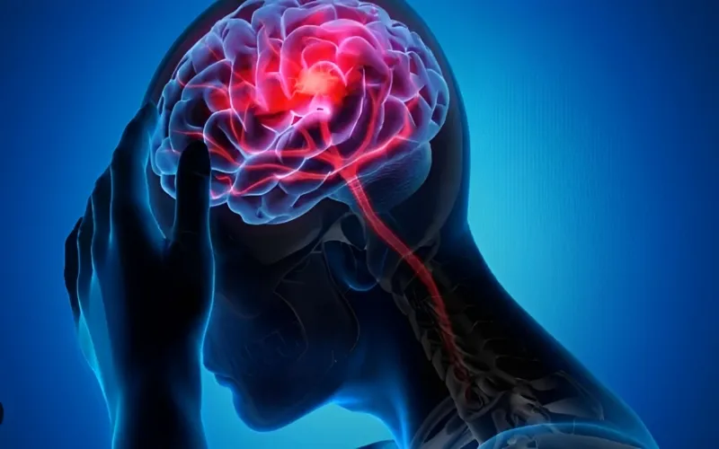 Scientists find brain switch that could help turn off chronic pain