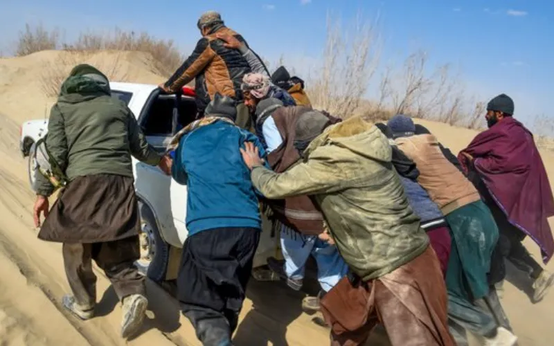 14 Afghans