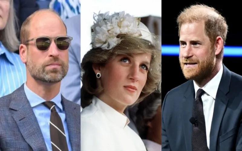 Prince William and Harry will reunite for Diana's 30th anniversary