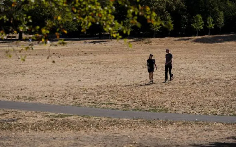 UK heatwave