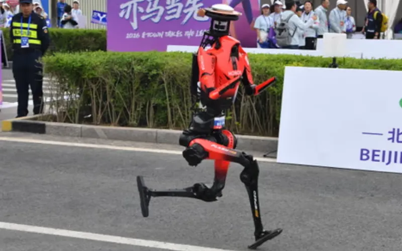 Chinese robot