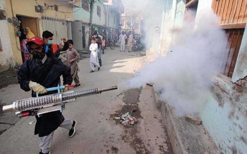 Sindh reports 25% drop in Malaria cases this year