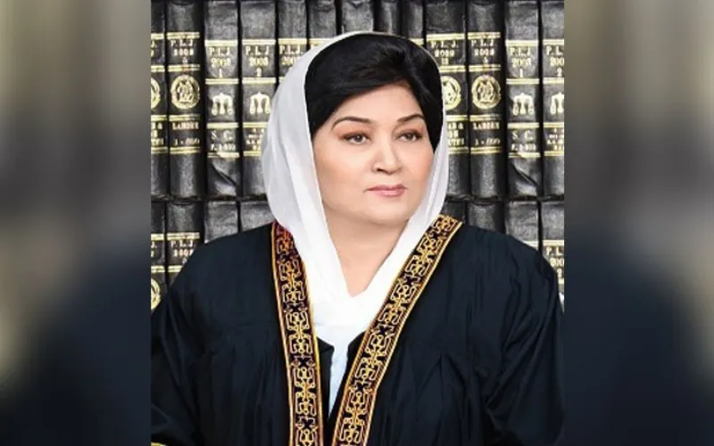 Peshawar High Court Bar honors senior lawyers with Lifetime Achievement Awards