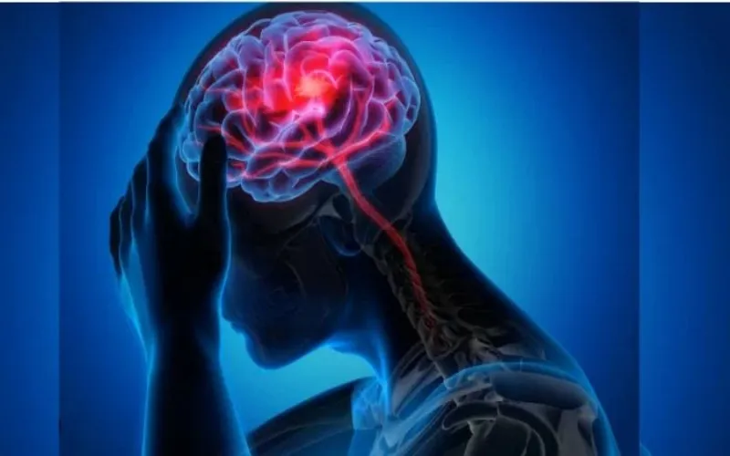 Stress signal may help brain repair itself after injury, study finds