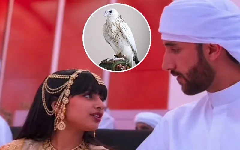 Rare white falcon’s Dh1.5 million sale at 'ADIHEX' 2026 breaks the internet.