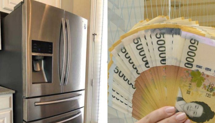 India considers curbing import of refrigerators credits google