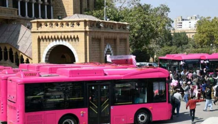 pink bus service route