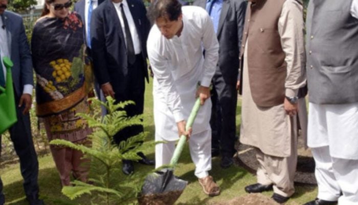PM Wants All Pakistanis To Get Ready For Massive Tree Plantation Drive In History
