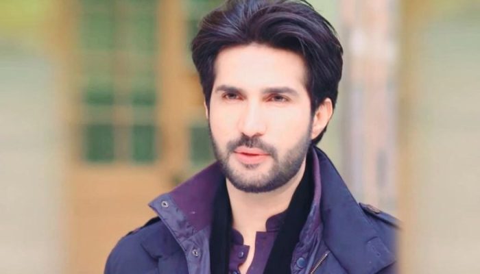 Adeel Chaudhry facts