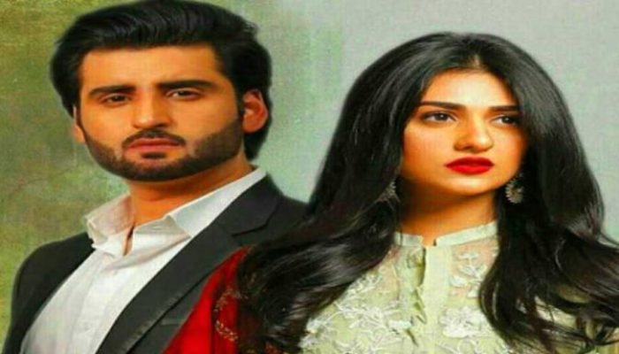 sara ali and agha ali